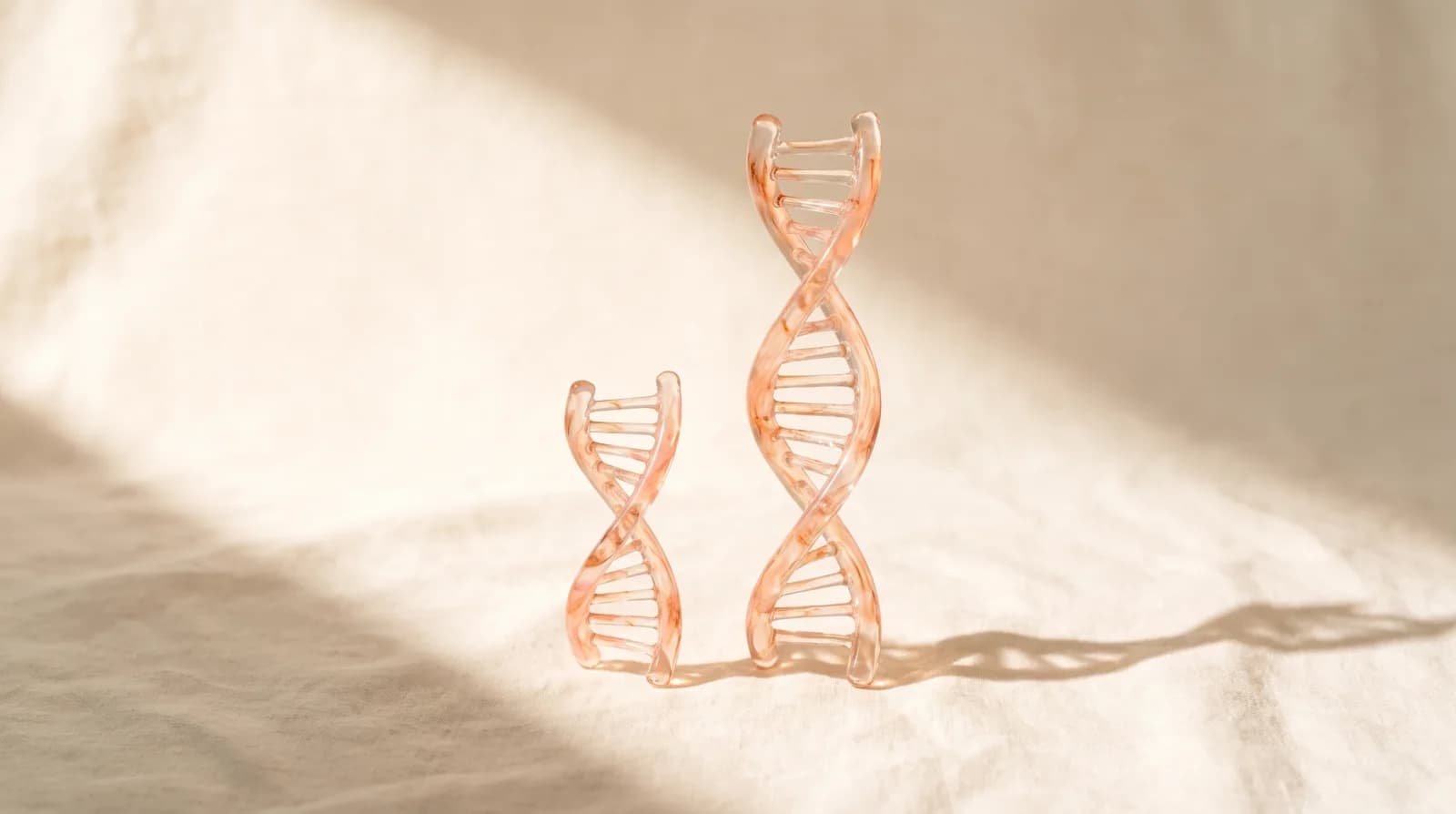 Illustration de fragments d’ADN en solution